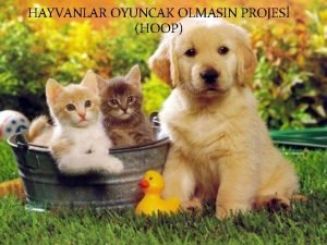 HAYVANLAR OYUNCAK OLMASIN PROJES HOOP PROJENN AMACI Hayvanlara