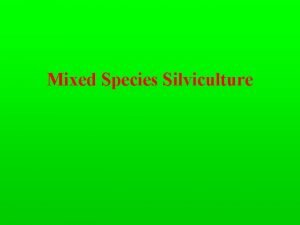 Mixed Species Silviculture Objectives 1 Understand stratification of