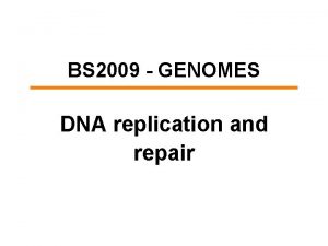 BS 2009 GENOMES DNA replication and repair REPLICATION