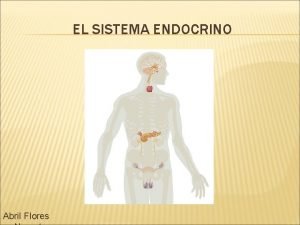 Enfermedades del sistema endocrino