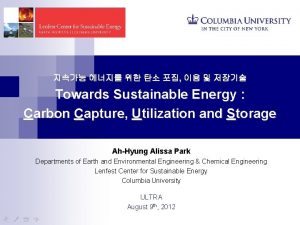 Towards Sustainable Energy Carbon Capture Utilization and Storage