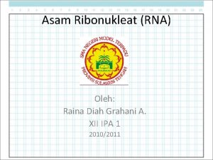 Asam ribonukleat