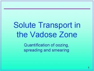Solute Transport in the Vadose Zone Quantification of