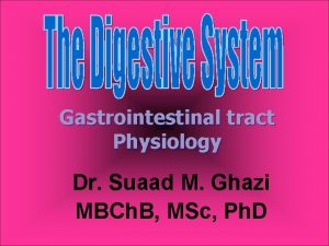 Gastric glands