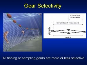 Gear selectivity