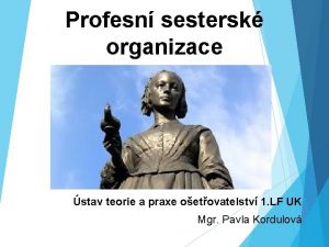 Profesn sestersk organizace stav teorie a praxe oetovatelstv