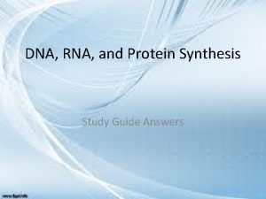 Rna and protein synthesis study guide