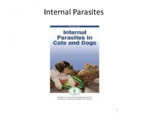 A definitive host harbors which stage of a parasite