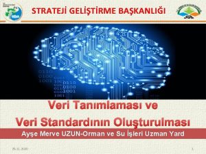 STRATEJ GELTRME BAKANLII Veri Tanmlamas ve Veri Standardnn