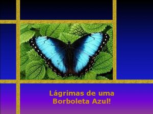 Lgrimas de uma Borboleta Azul Um belo entardecer