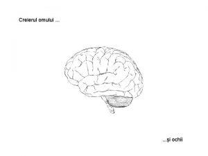 Creierul omului i ochii 2007 by showman 32