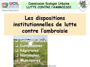 Commission Ecologie Urbaine LUTTE CONTRE lAMBROISIE Commission Ecologie