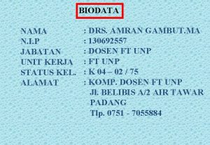 BIODATA NAMA N I P JABATAN UNIT KERJA