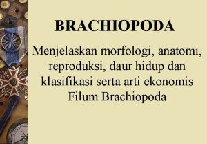 BRACHIOPODA Menjelaskan morfologi anatomi reproduksi daur hidup dan