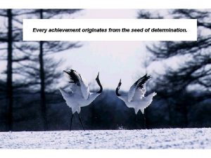 Every achievement originates from the seed of determination