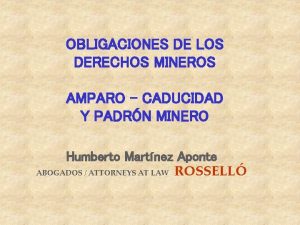 OBLIGACIONES DE LOS DERECHOS MINEROS AMPARO CADUCIDAD Y