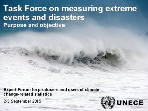 Task Force on measuring extreme events and disasters