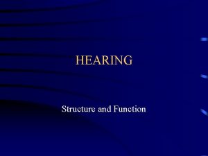 Auditory system function Auditory system function