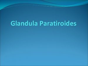 Glandula Paratiroides Glandula Paratiroides Anatomia 4 pequeas glandulas