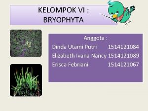 KELOMPOK VI BRYOPHYTA Anggota Dinda Utami Putri 1514121084