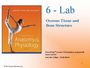 6 Lab Osseous Tissue and Bone Structure Power