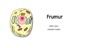 Frumur Lfi sinni smstu mynd Upphafi Uppgtvanir vsindum