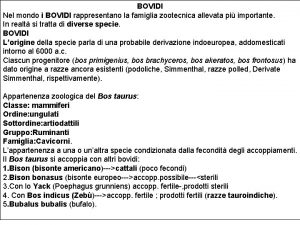 BOVIDI Nel mondo i BOVIDI rappresentano la famiglia