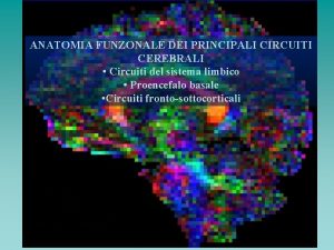 ANATOMIA FUNZONALE DEI PRINCIPALI CIRCUITI CEREBRALI Circuiti del