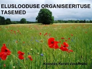 Eluslooduse organiseerituse tasemed