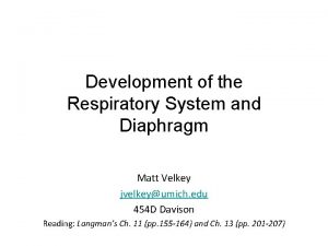 Development of the Respiratory System and Diaphragm Matt