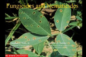 History of fungicides