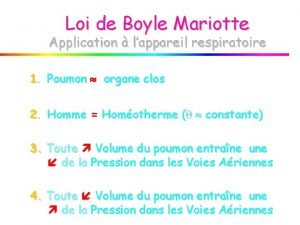 Division dichotomique des bronches Division dichotomique des bronches