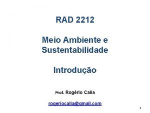 RAD 2212 Meio Ambiente e Sustentabilidade Introduo Prof