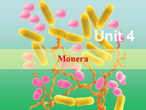 Unit 4 Monera Moneres Bacillus thuringiensis Tunggal Bakteri
