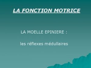 LA FONCTION MOTRICE LA MOELLE EPINIERE les rflexes