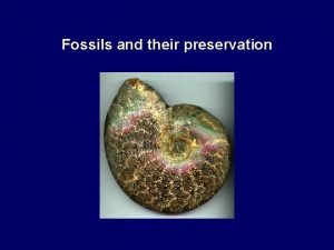 Tar impregnation fossils
