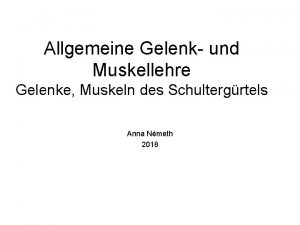 Spinohumerale muskeln