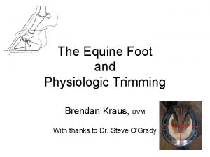 The Equine Foot and Physiologic Trimming Brendan Kraus