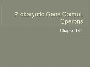 Prokaryotic Gene Control Operons Chapter 18 1 Prokaryotic