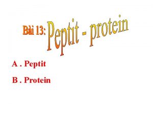 A Peptit B Protein A Peptit B Protein