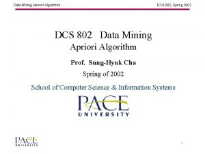 Data Mining Apriori Algorithm DCS 802 Spring 2002