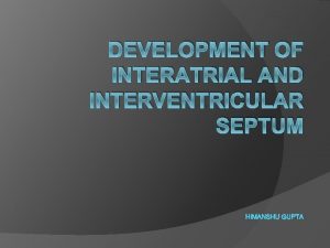 DEVELOPMENT OF INTERATRIAL AND INTERVENTRICULAR SEPTUM HIMANSHU GUPTA