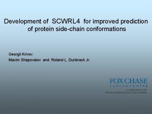 Scwrl4