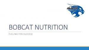Bobcat nutrition orange tx