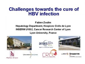 Challenges towards the cure of HBV infection Fabien