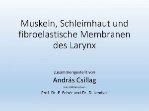 Muskeln Schleimhaut und fibroelastische Membranen des Larynx zusammengestellt