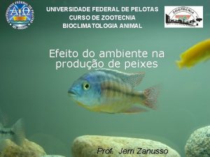 UNIVERSIDADE FEDERAL DE PELOTAS CURSO DE ZOOTECNIA BIOCLIMATOLOGIA