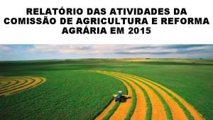 RELATRIO DAS ATIVIDADES DA COMISSO DE AGRICULTURA E