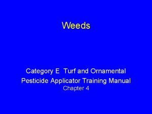 Category e turf and ornamentals