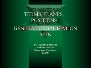 TERMS PLANES POSITIONS GENERAL ORGANIZATION SKIN Dr Mah